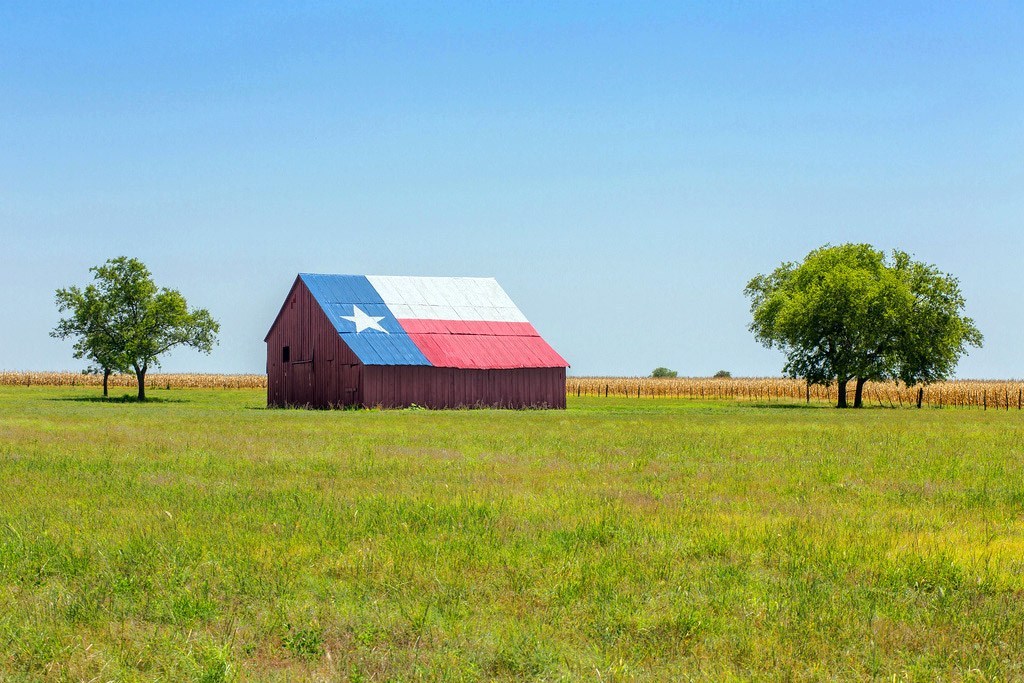 A barn in the middle of a grassy field with its slant roof painted with the Texas Flag.