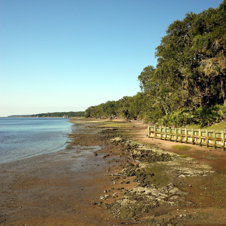 Visit Cumberland Island National Seashore | Moon Travel Guides