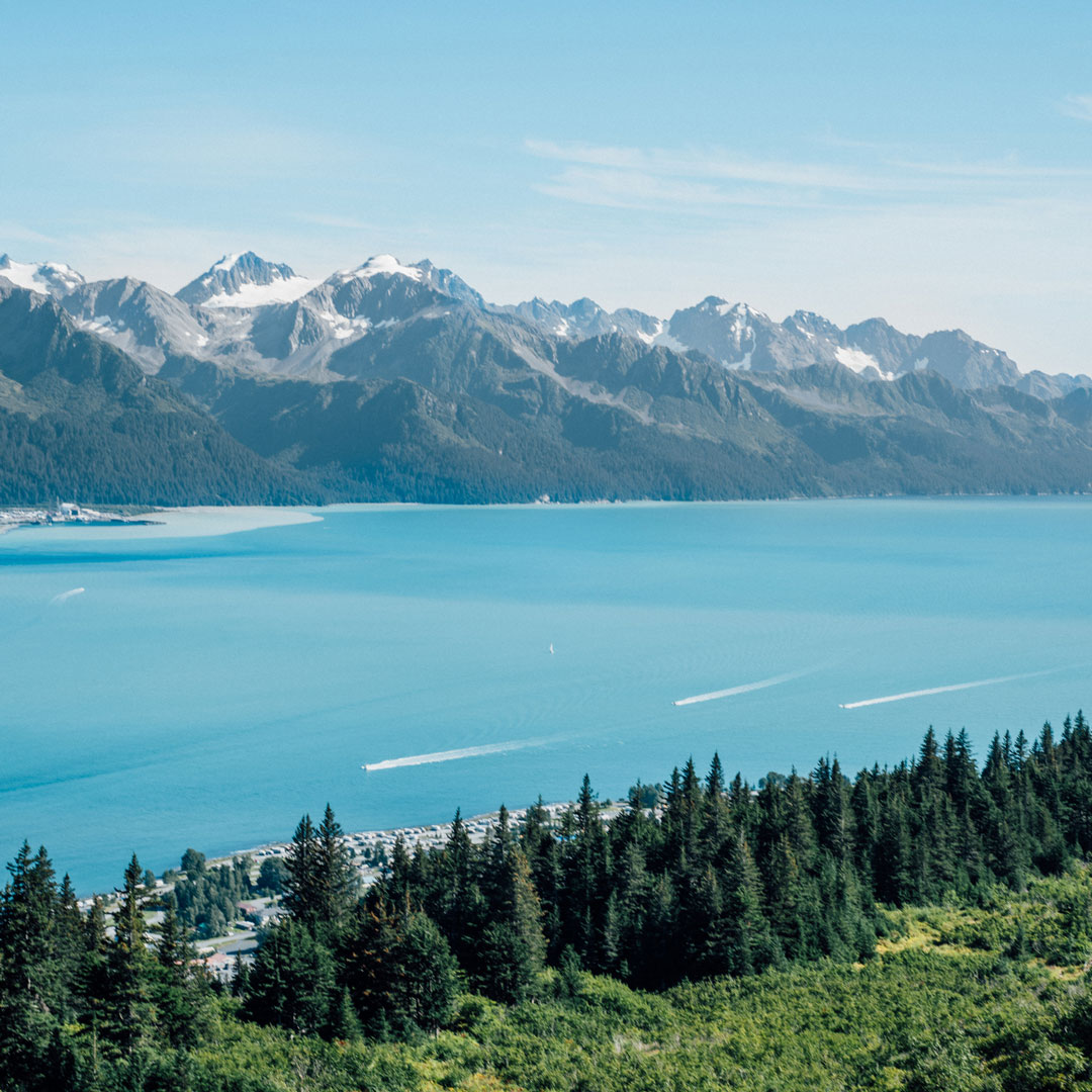 resurrection bay cruise alaska