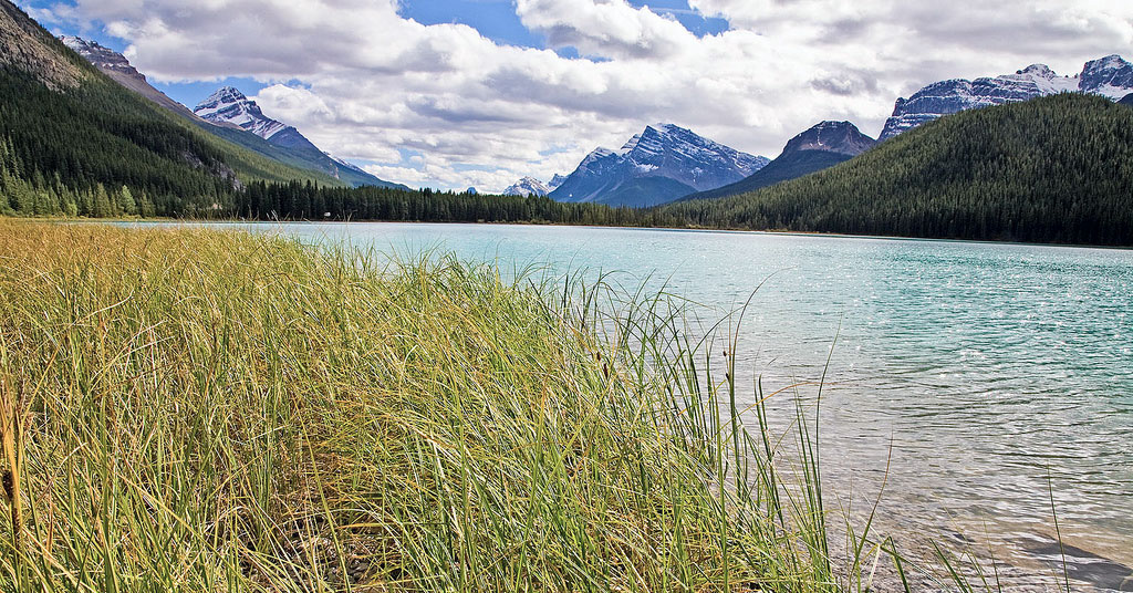 The grassy bank of a turquoise lake with a dramatic mountainscape in the distance.