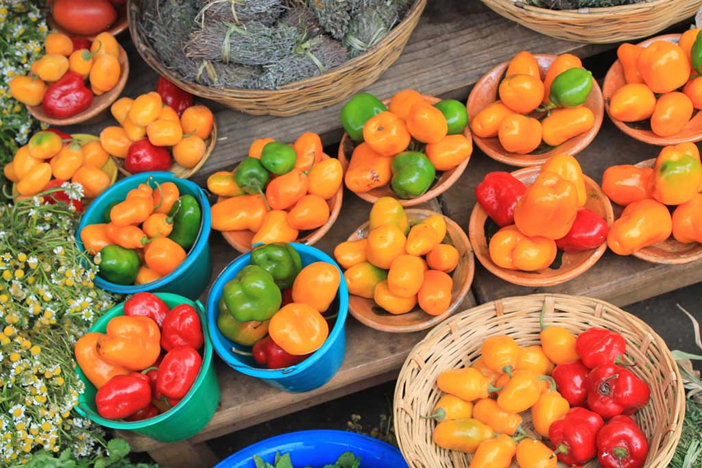 Colorful peppers for sale at a farmer's market in Chiapas, Mexico. Photo © John Cumbow/123rf.