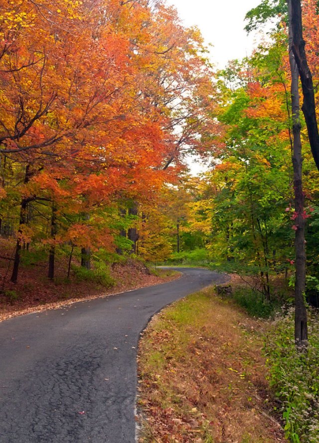 Scenic Tree Lined Country Road In The Catskill Mountains Of