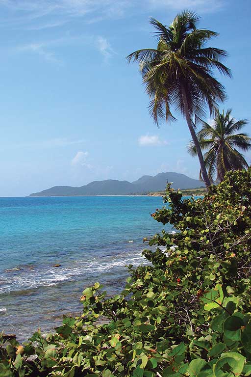 Vieques features miles of deserted beaches and bright blue water. Photo © Suzanne Van Atten.
