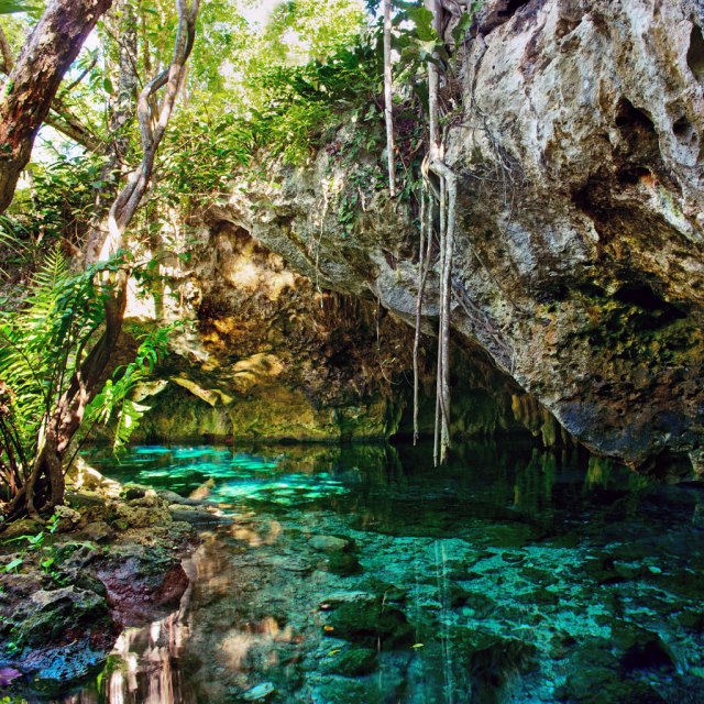 Best Yucatán Cenotes to Visit | Moon Travel Guides