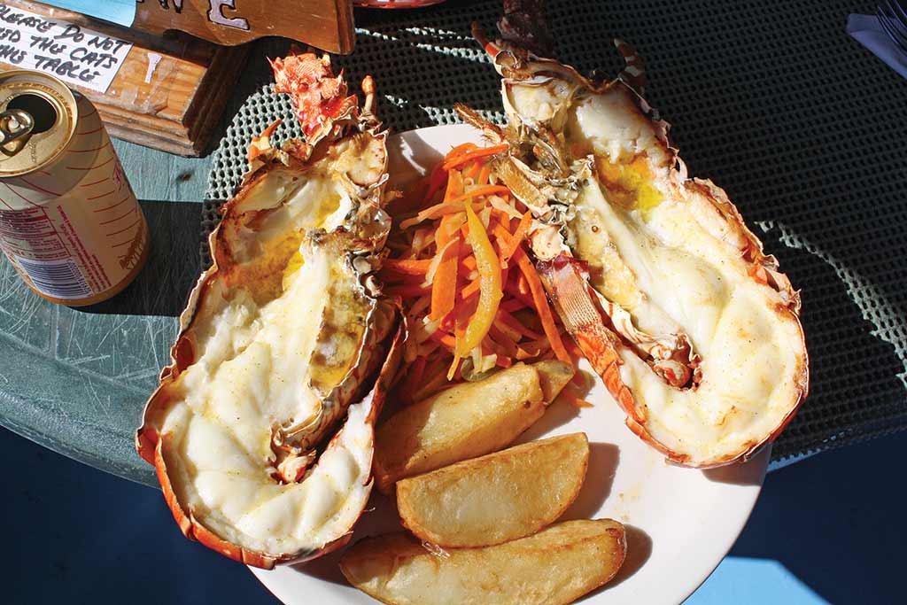 Lobster lunch. Photo © Susanna Henighan Potter.