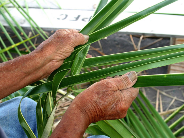 Hawaiians became the best basket makers and mat weavers in all of Polynesia.