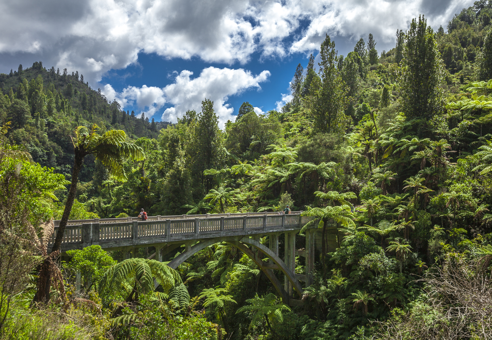 A Breakdown Of New Zealand's Great Walks | Moon Travel Guides