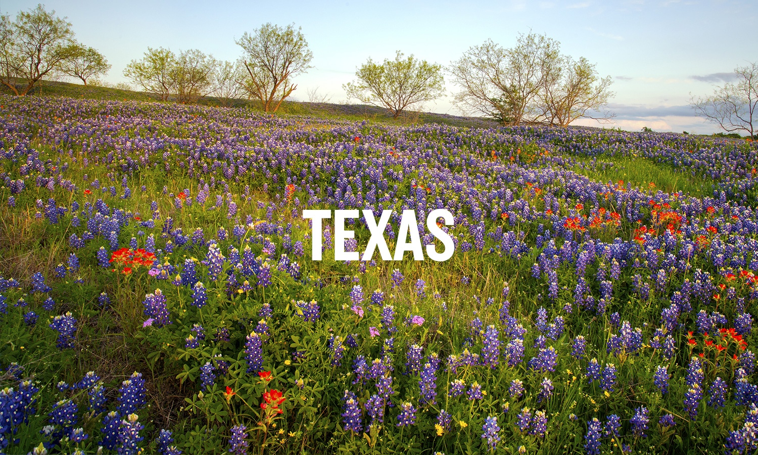 Travel Texas with Moon | Moon Travel Guides