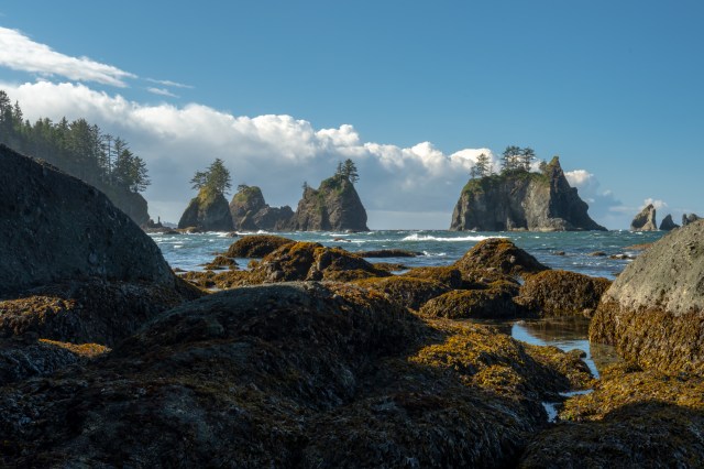 Coastal Hiking Getaways in the Pacific Northwest | Moon Travel Guides