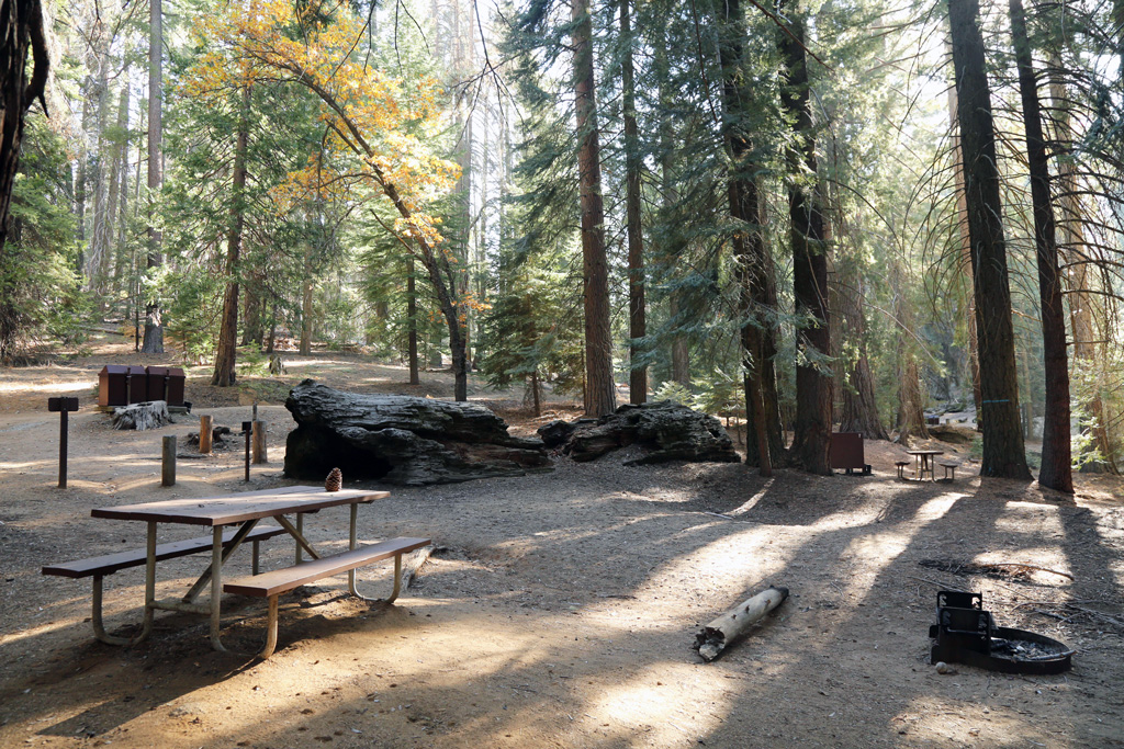 camping-in-and-around-sequoia-and-kings-canyon-moon-travel-guides