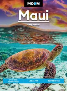 Travel Book Hawaii - Men - Travel