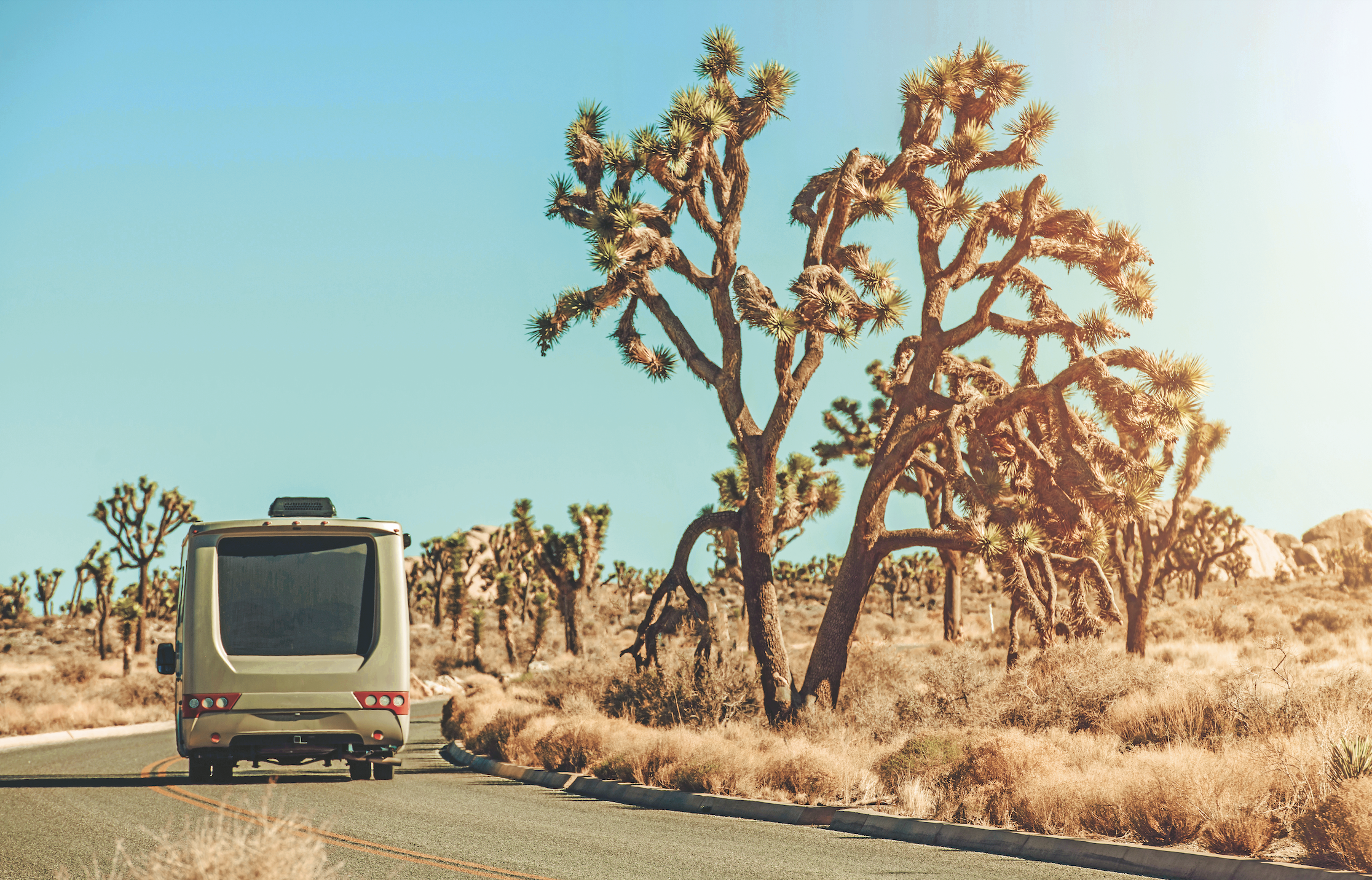 News - Joshua Tree RV & Campground : Joshua Tree RV & Campground